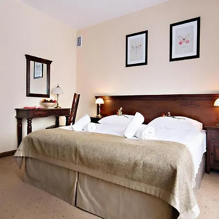 Carmen カルパッチ